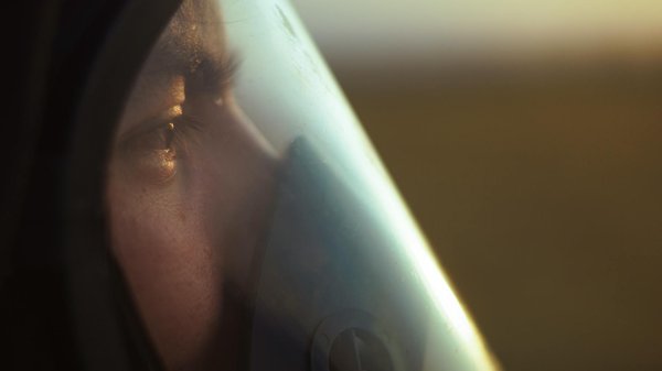 Assurance pour la vaccination des animaux : guide essentiel